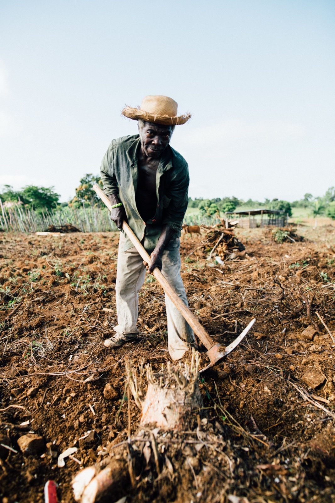 A farmer in a straw hat works the soil with a hoe