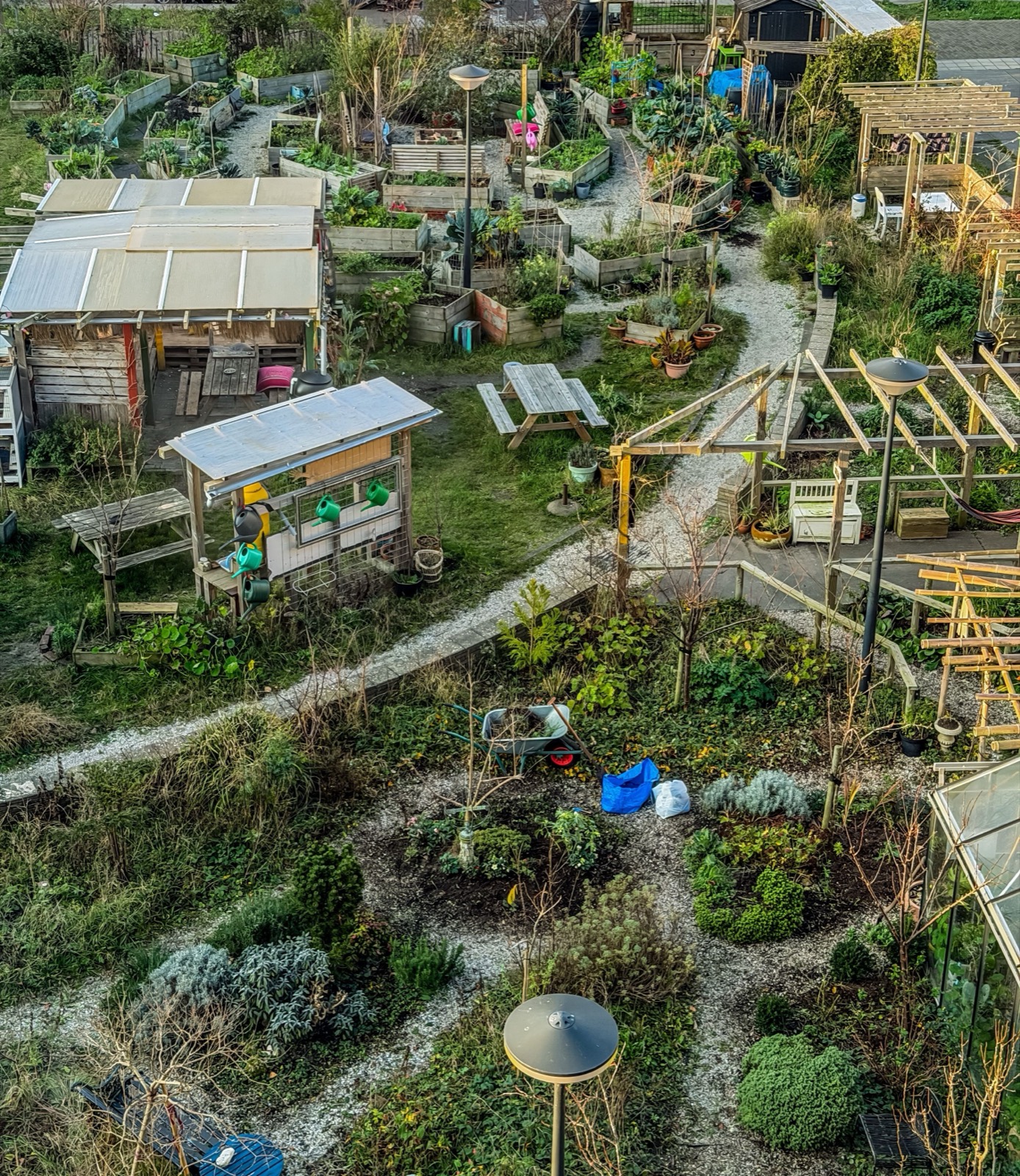A community garden seen from above, beds and paths between houses